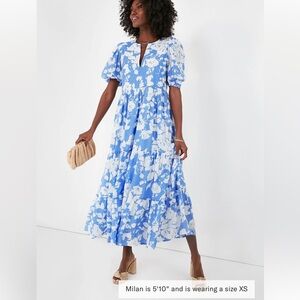 Tuckernuck Blue and White Floral Maxi Dress